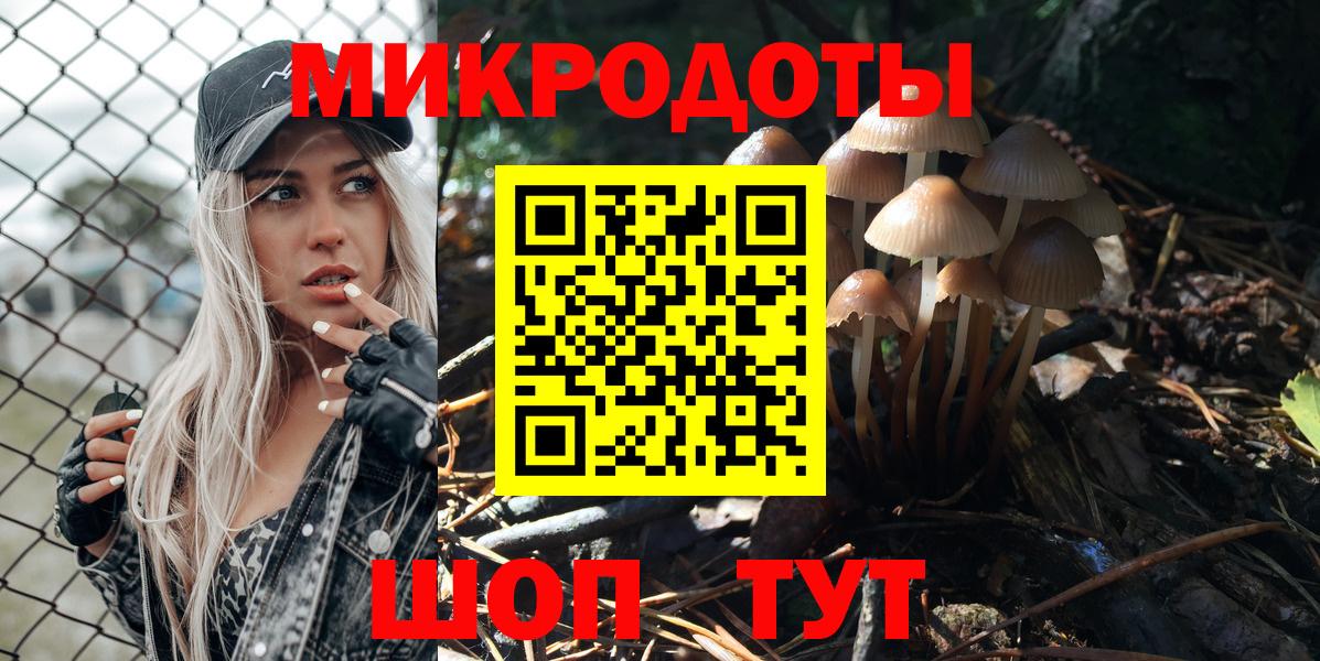 Галлюциногенные грибы Cubensis Кимры