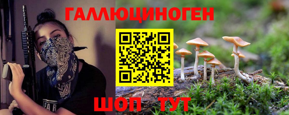 Псилоцибиновые грибы ЛСД  купить наркотик  Кимры  Вход с VPN  Галлюциногенные грибы мухоморы 